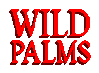 Wild Palms
